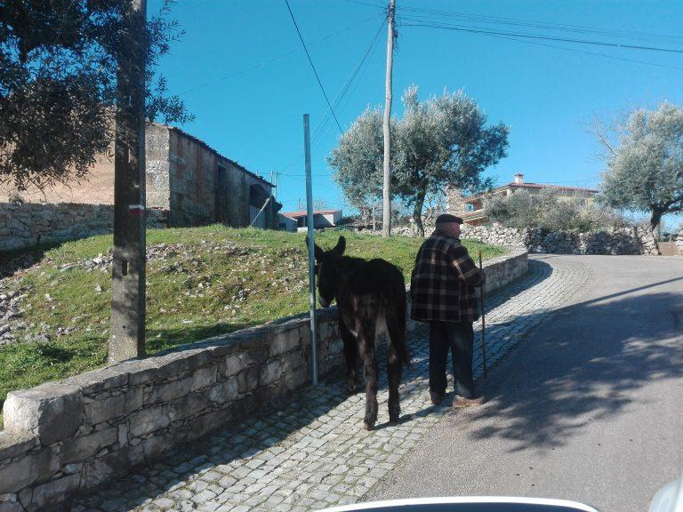 Serra do Sicó