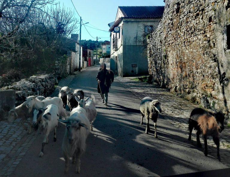 Serra do Sicó