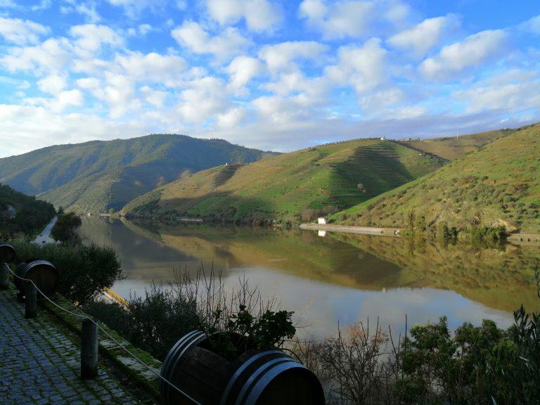 Cellar Douro Valley