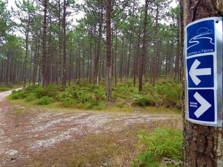 Caminhos de Fátima, Caminho da Nazaré