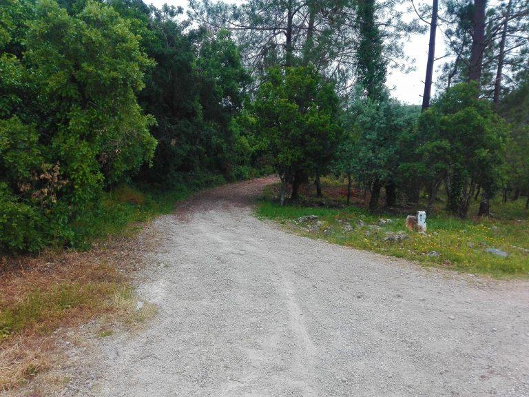 Caminhos de Fátima, Caminho da Nazaré