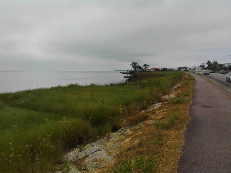 Ria de Aveiro