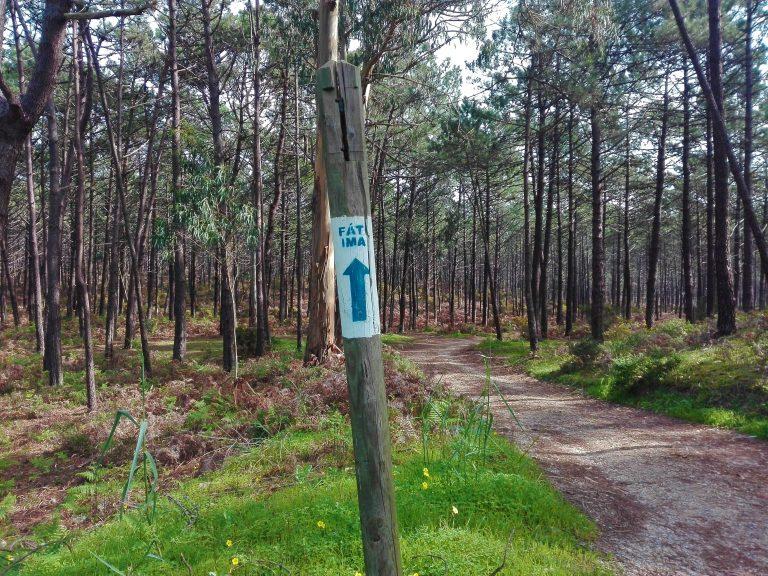 Caminhos de Fátima, Caminho da NazaréCaminhos de Fátima, Caminho da Nazaré