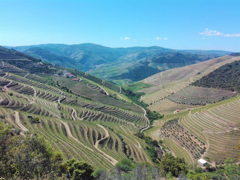 Rio Douro