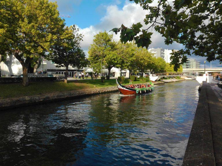 Barco Moliceiro