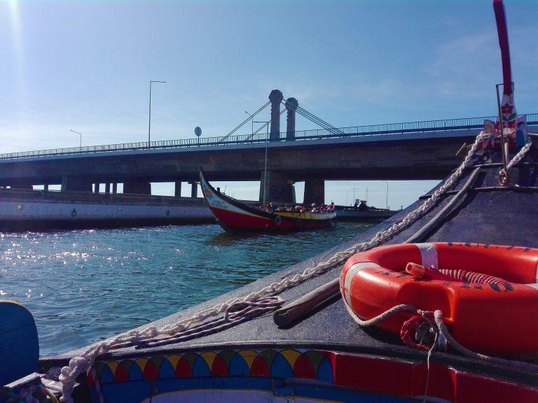 Barco Moliceiro