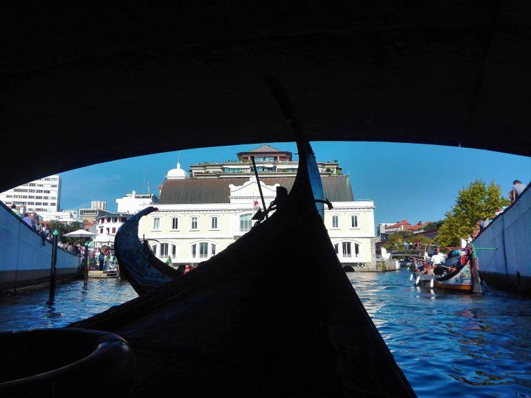 Barco Moliceiro