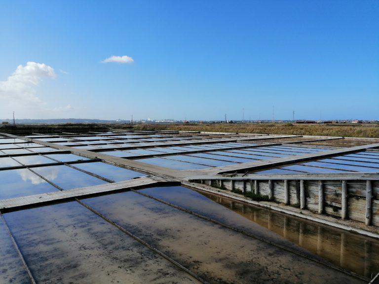 Salinas