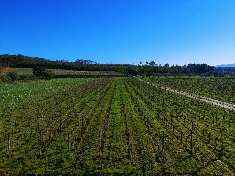 Quinta dos Abibes