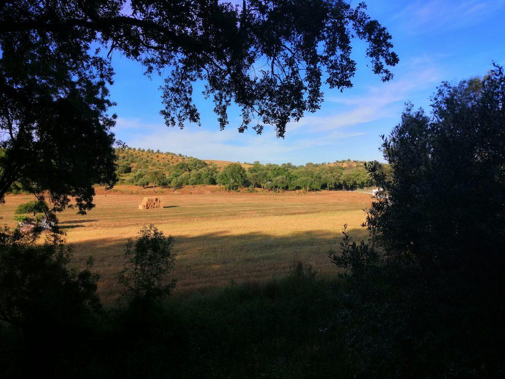 Caminhos de Fátima, caminho do Tejo