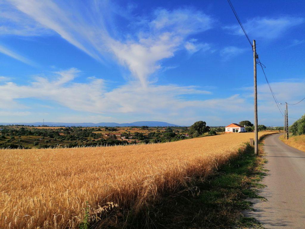 Caminhos de Fátima, caminho do Tejo