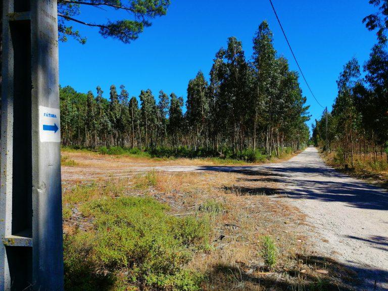 Caminhos de Fátima, Caminho da Nazaré