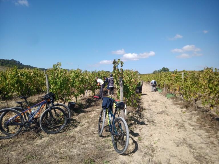 bairrada de bike