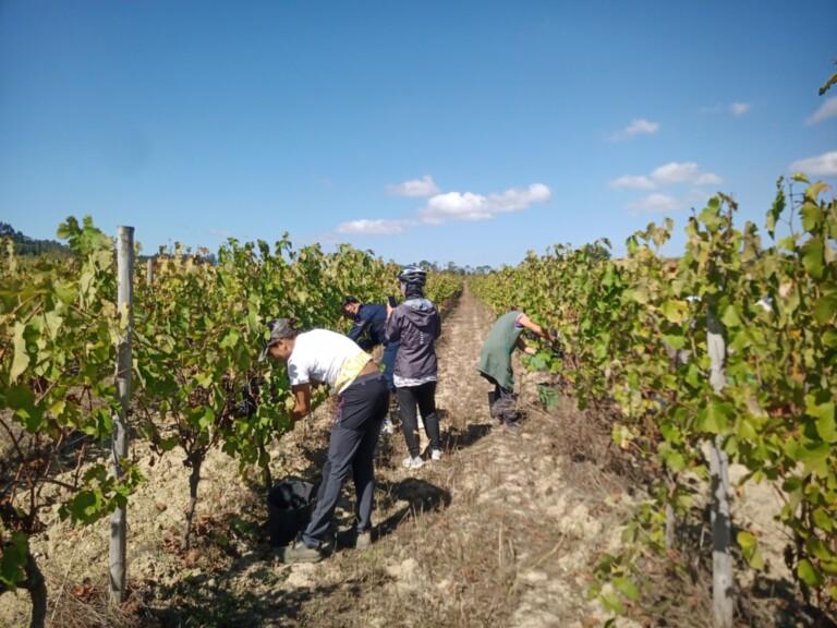 bairrada de bike