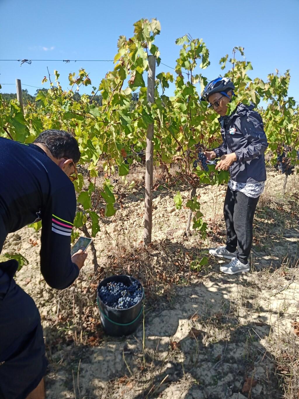 bairrada de bike