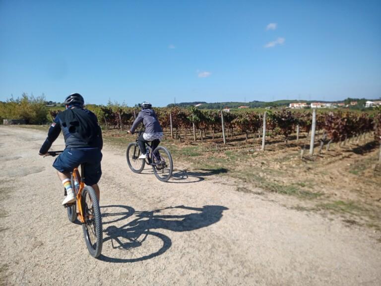 bairrada de bike