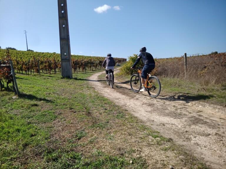 bairrada de bike