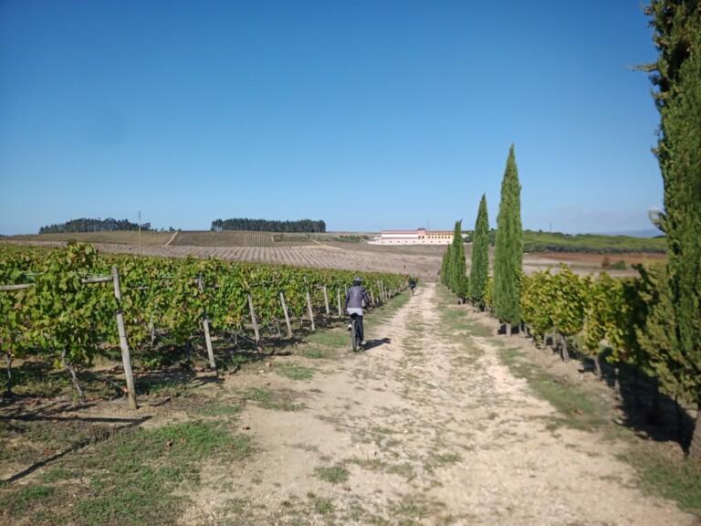 bairrada de bike