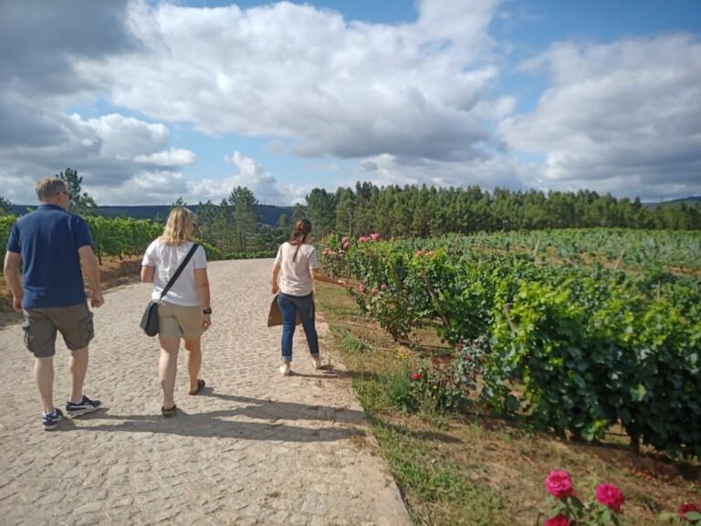 Boas Quintas Vinhos do Dão