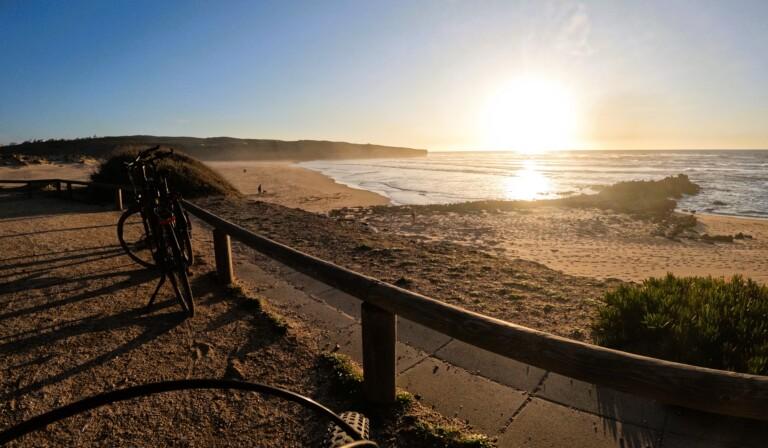 Rota vicentina