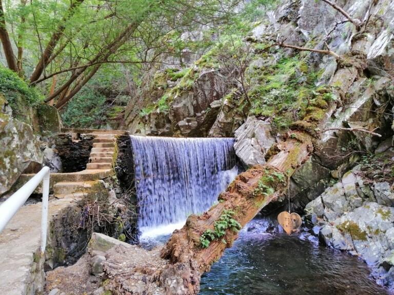 Cascata piscina natural