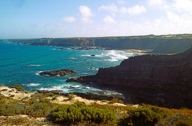 Rota vicentina