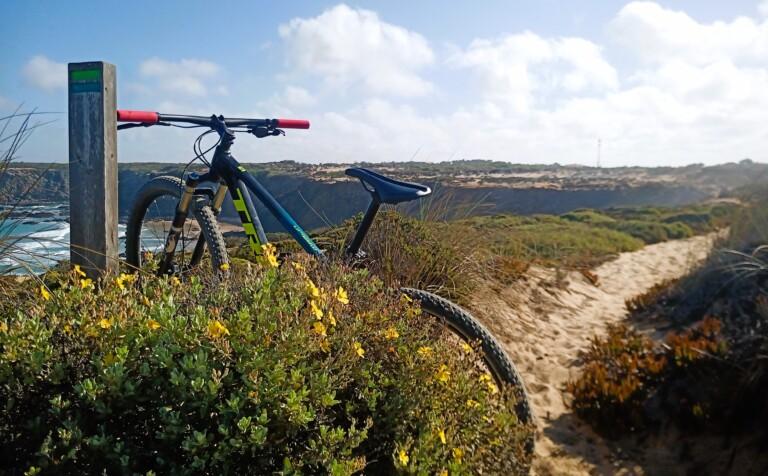 Rota vicentina