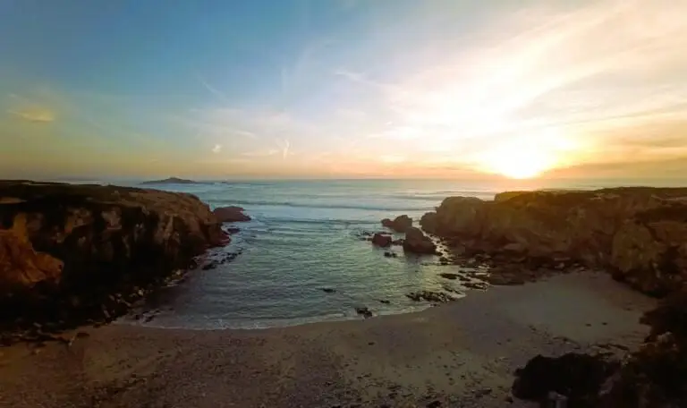 Rota vicentina